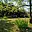 Prodej zahrady 500 m² Fulnek Jerlochovice