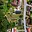 Prodej stavební parcely 938 m² Nové Hrady