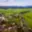 Prodej stavební parcely 9 951 m² Horní Blatná, Hamerská