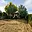 Prodej zahrady 260 m² Opava, Jaselská