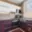 Prodej bytu 3+1 66 m² Chodov, U Koupaliště