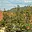 Prodej bytu 2+1 57 m² Most, W. A. Mozarta