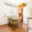 Pronájem bytu 2+1 60 m² Blansko, Salmova