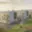 Prodej bytu 3+1 65 m² Nemanice