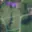 Prodej stavební parcely 1 100 m² Žichlínek