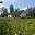 Prodej stavební parcely 2 264 m² Horní Brusnice