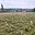 Prodej stavební parcely 5 462 m² Polom