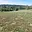 Prodej zahrady 3 220 m² Stražisko