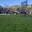Prodej stavební parcely 1 229 m² Holštejn
