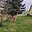 Prodej stavební parcely 2 431 m² Viničné Šumice