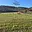 Prodej stavební parcely 1 268 m² Odry