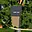 Prodej stavební parcely 1 347 m² Ločenice Nesměň
