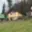 Prodej chaty 60 m² Komorní Lhotka