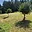 Prodej stavební parcely 2 124 m² Bušanovice Horní Nakvasovice