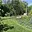 Prodej stavební parcely 728 m² Cheb