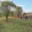 Prodej stavební parcely 832 m² Čelechovice na Hané