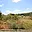 Prodej stavební parcely 2 679 m² Dyje