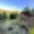 Prodej zahrady 368 m² Řídeč