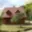 Prodej chalupy 180 m² Karolinka