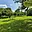 Prodej zahrady 486 m² Zdounky