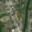 Prodej stavební parcely 852 m² Stříbro, Plzeňská