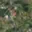 Prodej stavební parcely 704 m² Plzeň Doudlevce, Výsluní