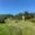 Prodej zahrady 452 m² Benešov nad Ploučnicí