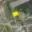 Prodej stavební parcely 658 m² Kutná Hora Neškaredice