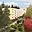 Prodej bytu 3+1 72 m² Brno Kohoutovice, Musorgského