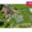 Prodej stavební parcely 1 061 m² Rajnochovice