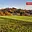 Prodej louky 20 000 m² Oznice