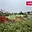 Prodej stavební parcely 1 095 m² Rataje