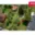 Prodej stavební parcely 813 m² Zlín Lužkovice