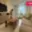 Prodej bytu 3+1 63 m² Otrokovice, Komenského