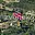 Prodej lesa 1 620 m² Halenkovice
