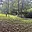 Prodej stavební parcely 1 620 m² Halenkovice