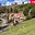 Prodej rodinného domu 1 086 m² Horní Bečva