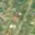 Prodej stavební parcely 648 m² Soběslav, K Sedlečku