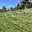 Prodej stavební parcely 3 780 m² Bruntál, Bruntál