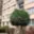 Pronájem bytu 2+1 66 m² Ústí nad Labem Severní Terasa, Werichova