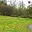 Prodej stavební parcely 10 000 m² Petrovice, Petrovice