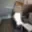Pronájem bytu 1+kk a garsoniéry 33 m² Praha Smíchov, Jindřicha Plachty