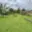 Prodej stavební parcely 1 347 m² Pavlovice u Kojetína, Pavlovice u Kojetína
