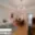 Prodej bytu 2+1 60 m² Praha, Vlašská