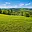 Prodej louky 18 548 m² Jakubovice