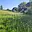 Prodej stavební parcely 1 000 m² Bohuslavice