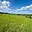 Prodej stavební parcely 5 167 m² Vlčice