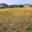 Prodej stavební parcely 5 762 m² Práče
