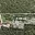 Prodej stavební parcely 8 226 m² v Černé Hoře