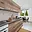 Prodej bytu 3+1 72 m² Brno Kohoutovice, Žebětínská